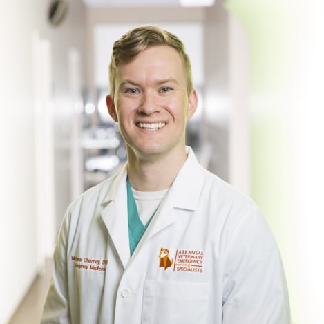 Dr. Matt Field, Arkansas Veterinary & Emergency Specialists