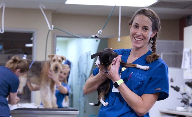 VRCC Veterinary Specialty & Emergency Hospital - The Healthy Pet Blog from  PetVet Care Centers