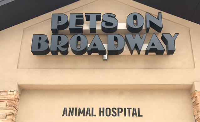 Pets on Broadway